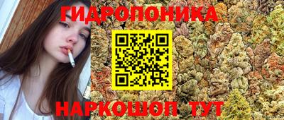 спиды Нальчик