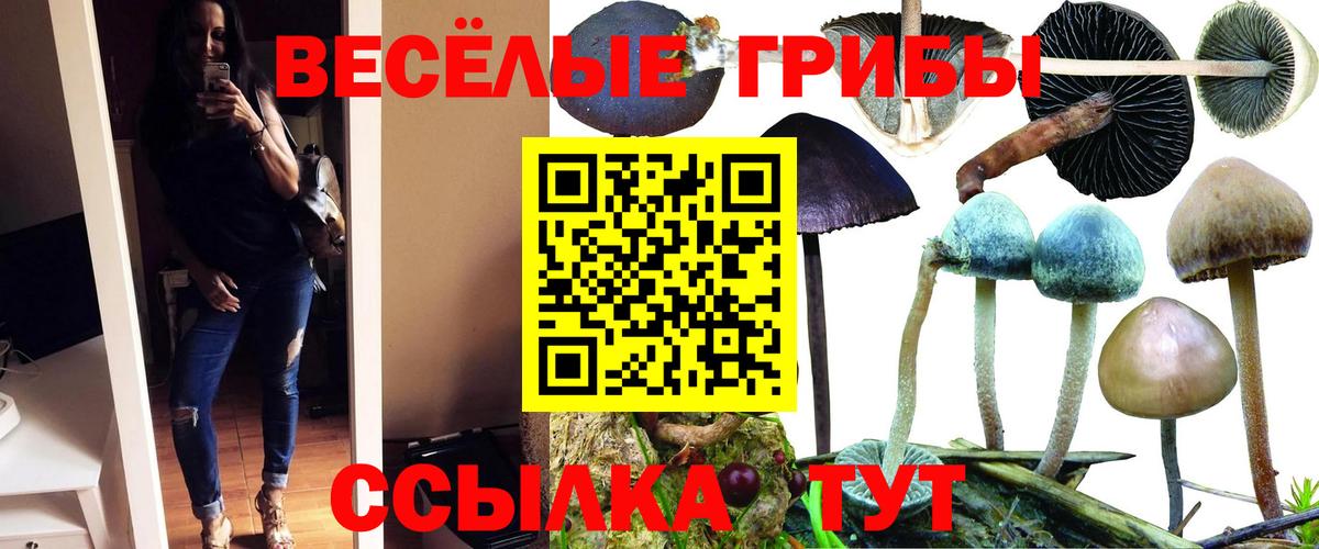 Ирбит  Псилоцибиновые грибы мухоморы  Вход с VPN  Галлюциногенные грибы мицелий 